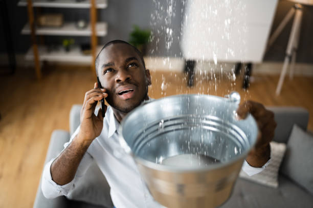 Best Basement water damage restoration  in Blue Ash, OH