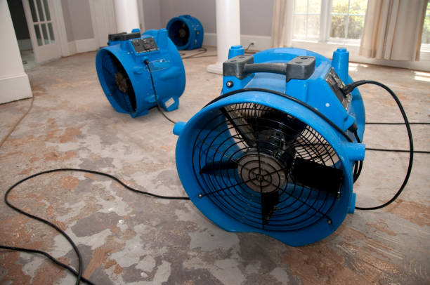 Trusted Blue Ash, OH Water damage restoration Experts