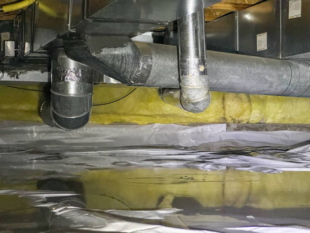 Best Flood damage cleanup  in Blue Ash, OH