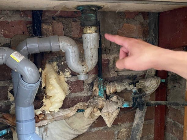  Blue Ash, OH Water damage restoration Pros