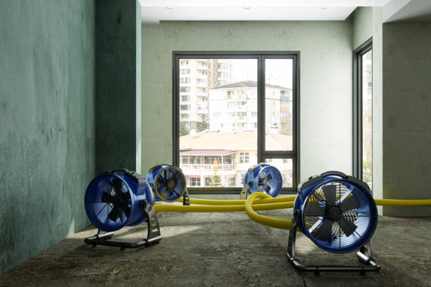 Best Emergency water damage restoration  in Blue Ash, OH